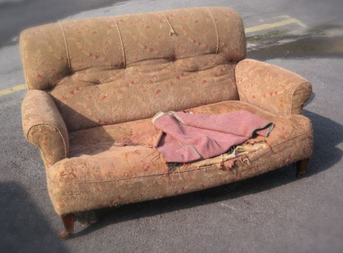 Ex Dog Bed !
