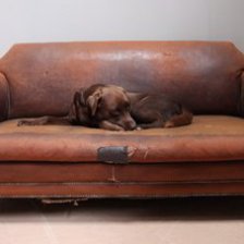 Mid-Victorian Leather Settee
